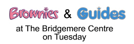 Brownies  Guides